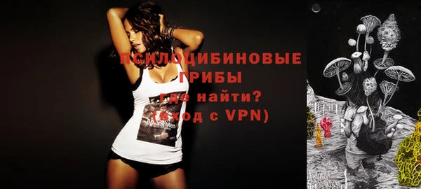 ГАЛЛЮЦИНОГЕННЫЕ ГРИБЫ Лиски