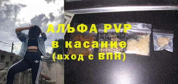 СК Абинск